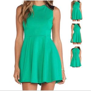 Ladakh Green Skater Dress